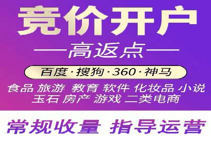 SEM托管公司案例：优化与增长